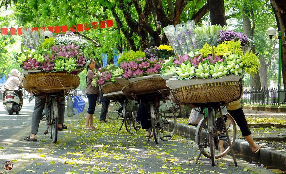 Phố đông người - Phạm Thúy Nga