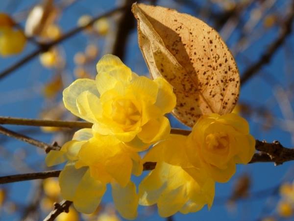 Đường ta đi dài theo đất nước - Nguyễn Thị Thu Sương