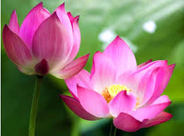Tháng năm dài lắm - Nguyễn Văn Tám