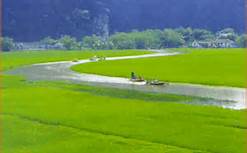 Làng bên kia sông – Trần Đức Tiến