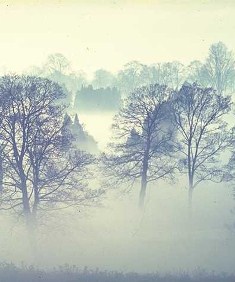 Cô nhóc mùa đông-Truyện ngắn của  Nguyễn Quốc Việt 