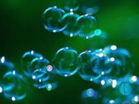Bóng một người - Thơ Ngân Vịnh