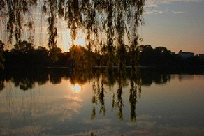 Hà Nội, buổi chiều yên - Thơ Bùi Công Minh