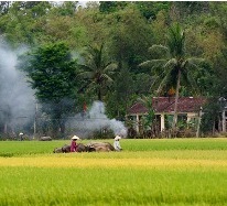 Thể lệ Cuộc thi thơ “Quê hương tôi”