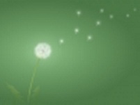 Cung thiên di  - Thơ Nguyễn Nhã Tiên