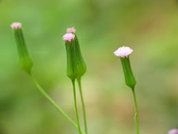 Nơi phòng đợi – Thơ Thanh Quế