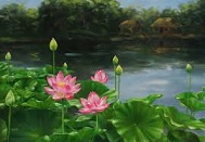 Bên hồ sen – Thơ Nguyễn Hoàng Sa