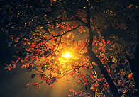 Chỉ khuôn mặt đó - Thơ Đinh Thị Như Thúy