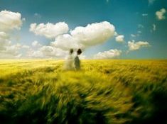 Mùa yêu – Thơ Nguyễn Long