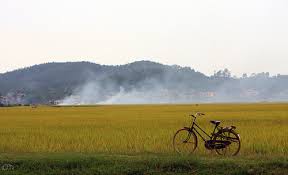Chiều quê ngày mùa – Thơ Tất Thắng