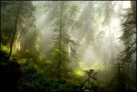 Xúc lộ – Thơ Nguyễn Thị Anh Đào