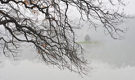 Mai anh về – Thơ Võ Duy Hòa