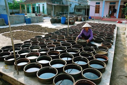 Bảo tồn nghề mắm Nam Ô tại Đà Nẵng - Ngọc Giao