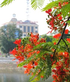 Cuộc thi Sáng tác Văn học - Nghệ thuật về thành phố Hải Phòng năm 2018 