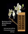 Về một người “Nhất sinh đê thủ bái mai hoa”  - Bùi Văn Tiếng