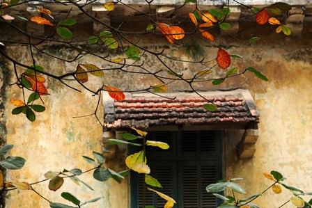 Cầu vồng hai săc - Nguyễn Thị Anh Đào