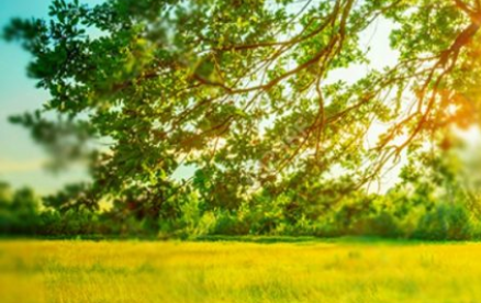 Đơn giản chỉ là sự vắng mặt - Đinh Thị Như Thúy