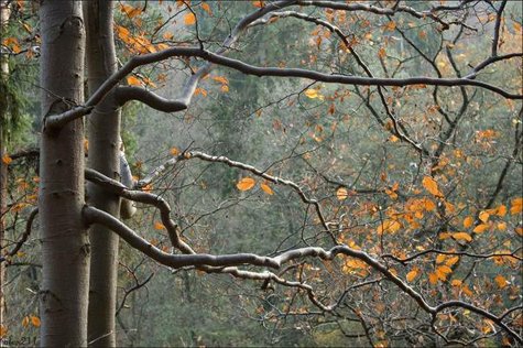 Ngày trôi không biết nữa - Trần Trình Lãm