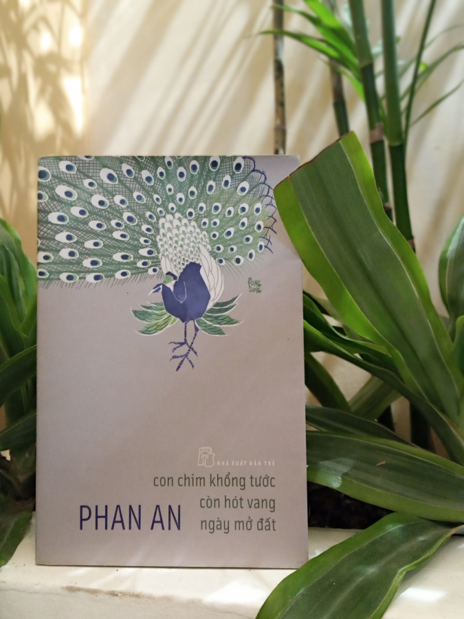 Nếu được, xin đừng quên!