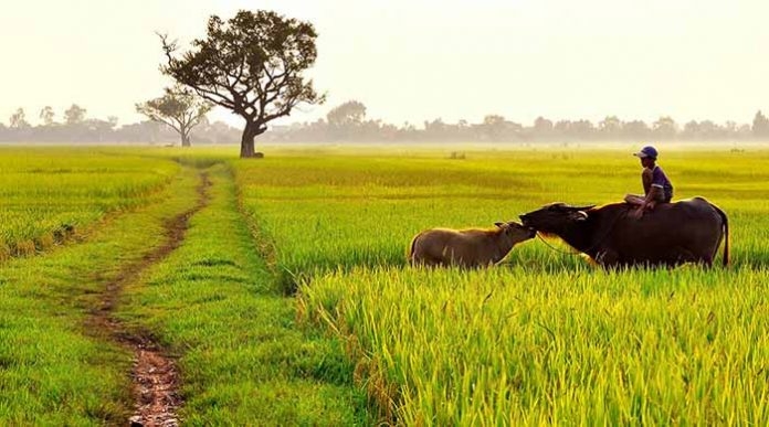 Chùm truyện thiếu nhi của Lê Thị Xuân