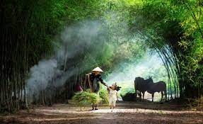 Phía xuân quê nhà