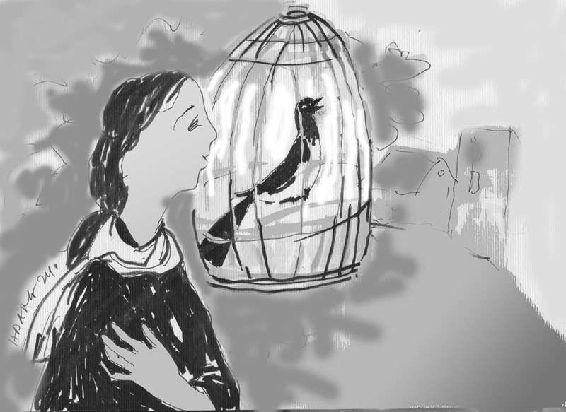 Tiếng chim bình minh