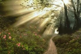 Thơ Nguyễn Duy Khoái