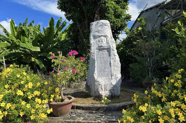 Hạnh phúc và nước mắt