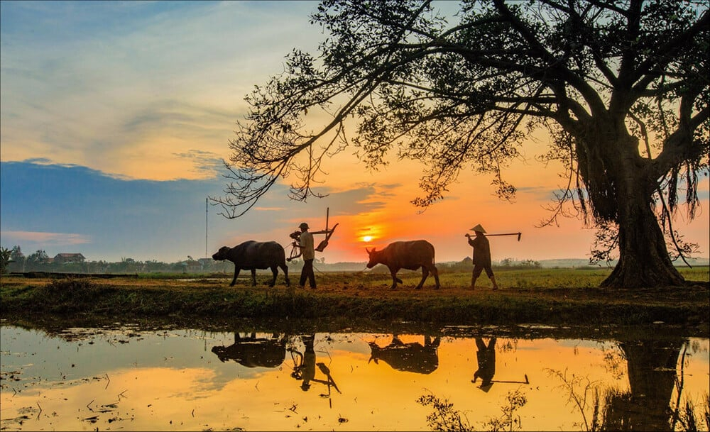 Một lối về