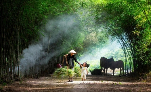 Hồn quê