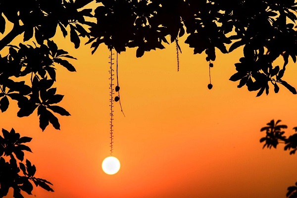 Hình như rất lạ....