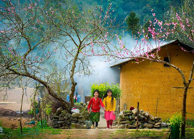 Xuân trên miền cao