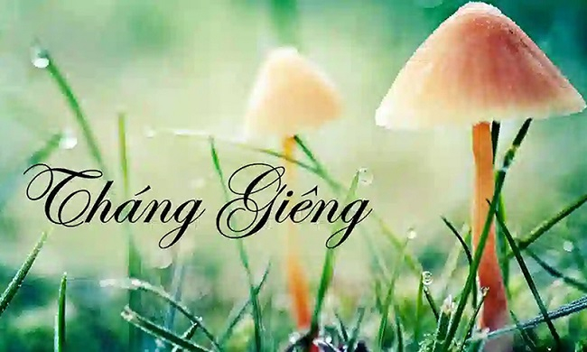 Dự cảm Giêng