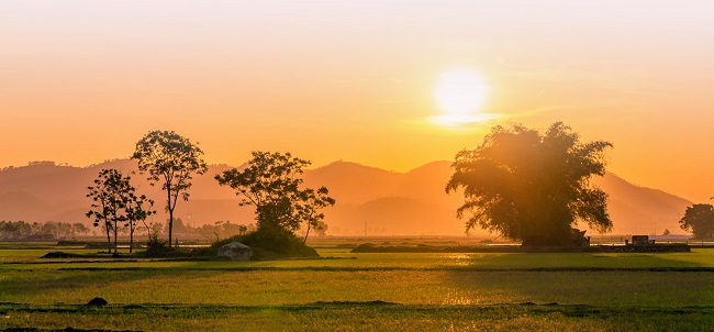 Bên hàng rào trăng nở đóa mưa xa