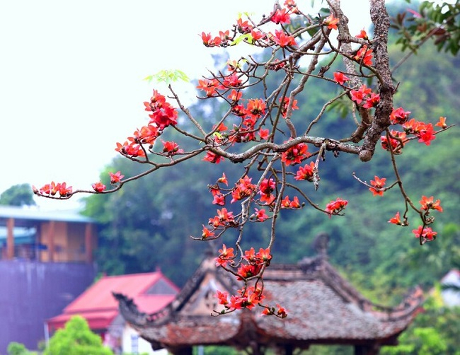 Thơ Đặng Vĩnh Hai