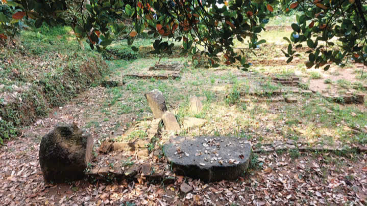 Một ngày với Phong Lệ