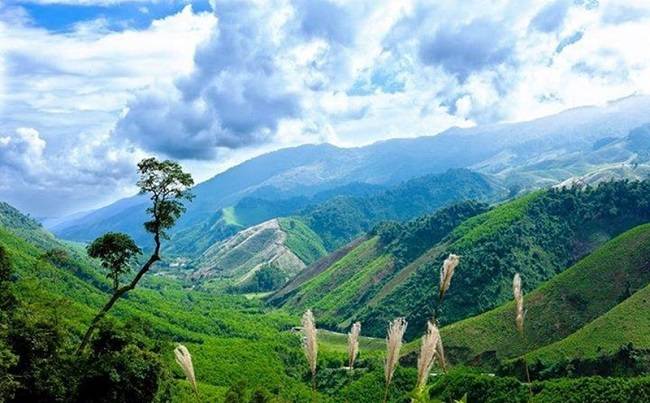 Về với zơng