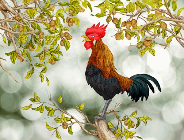 Thương hoài tiếng gà gáy sang canh...