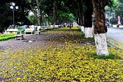 Dấu hỏi ngày xưa – Thơ Nguyên Thi