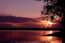 Em đánh rơi nỗi nhớ bên dòng Đak Bla – Thơ Nguyễn Thị Anh Đào 