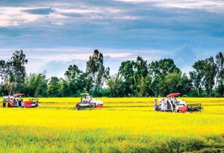 Gia hạn sáng tác mẫu quà tặng lưu niệm du lịch tỉnh Hậu Giang