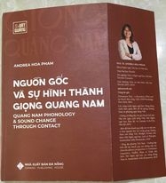 Giọng Quảng Nam  và những câu hỏi còn bỏ ngỏ