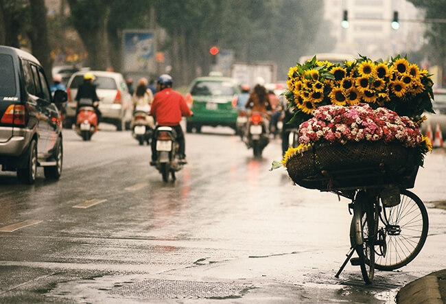 Người thành phố