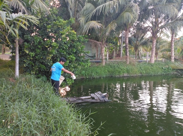 Anh Tới, chị Vân làm kinh tế giỏi