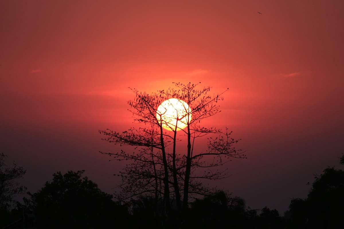 Vội chi những tàn phai