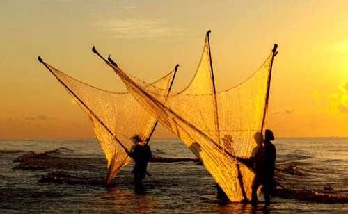 Phải lòng gánh cá biển ngang