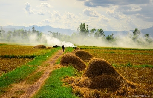 Thơ Trần Trúc Tâm