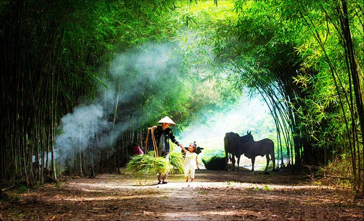 Quê là nơi tim vẫn gọi tên